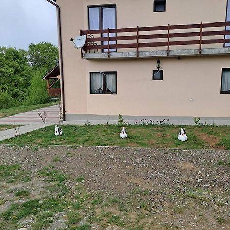 Conacul Elenei Villa Poiana Mărului Exterior foto