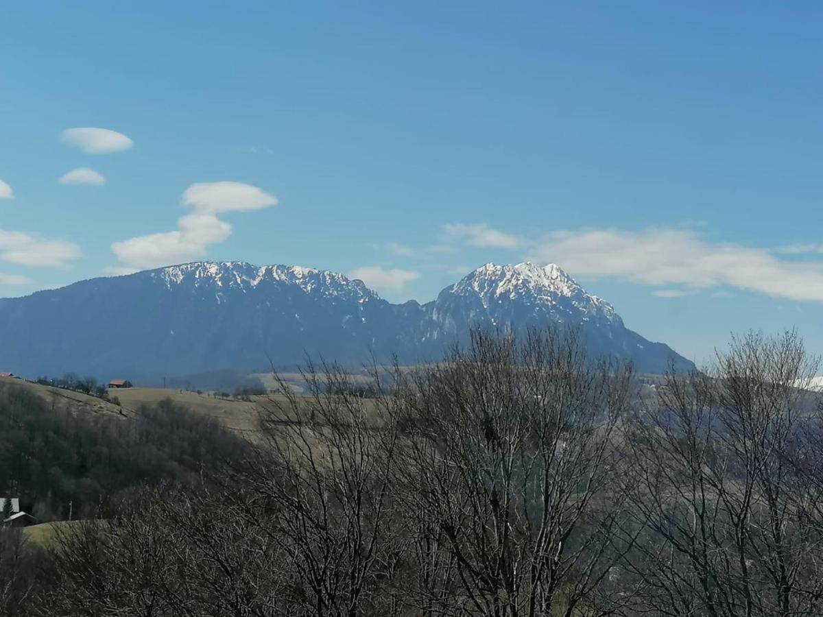 Conacul Elenei Villa Poiana Mărului Exterior foto