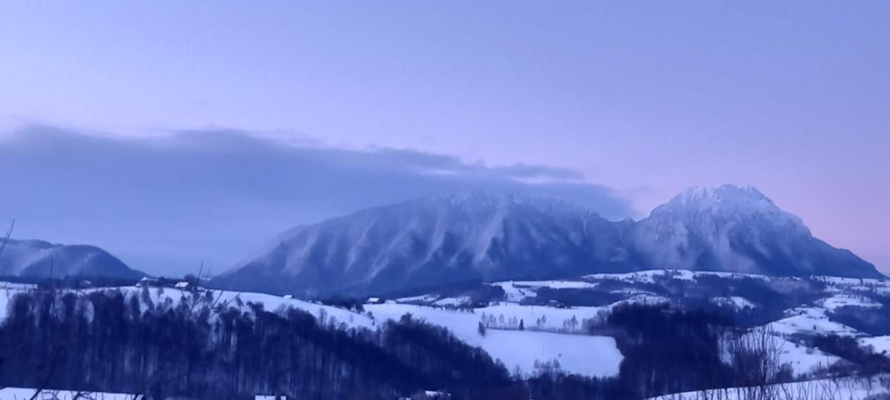 Conacul Elenei Villa Poiana Mărului Exterior foto