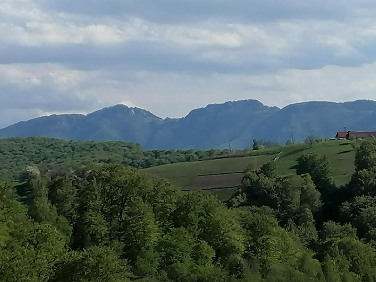 Conacul Elenei Villa Poiana Mărului Exterior foto