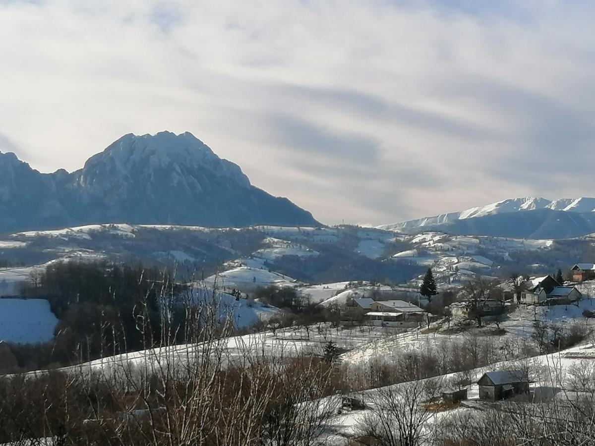 Conacul Elenei Villa Poiana Mărului Exterior foto