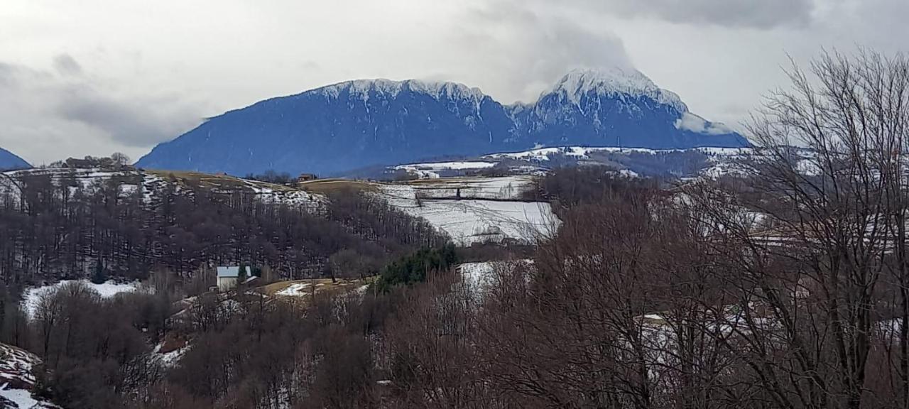 Conacul Elenei Villa Poiana Mărului Exterior foto