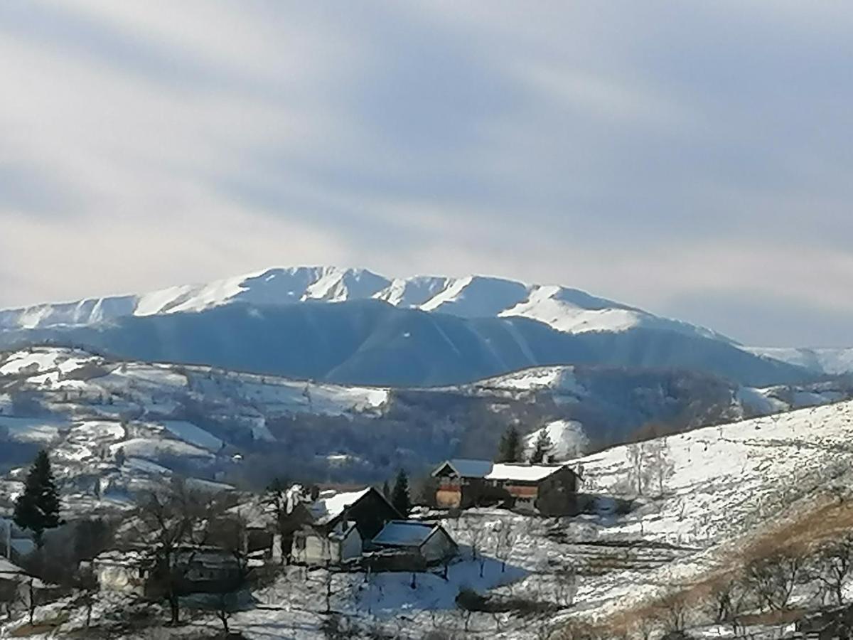 Conacul Elenei Villa Poiana Mărului Exterior foto