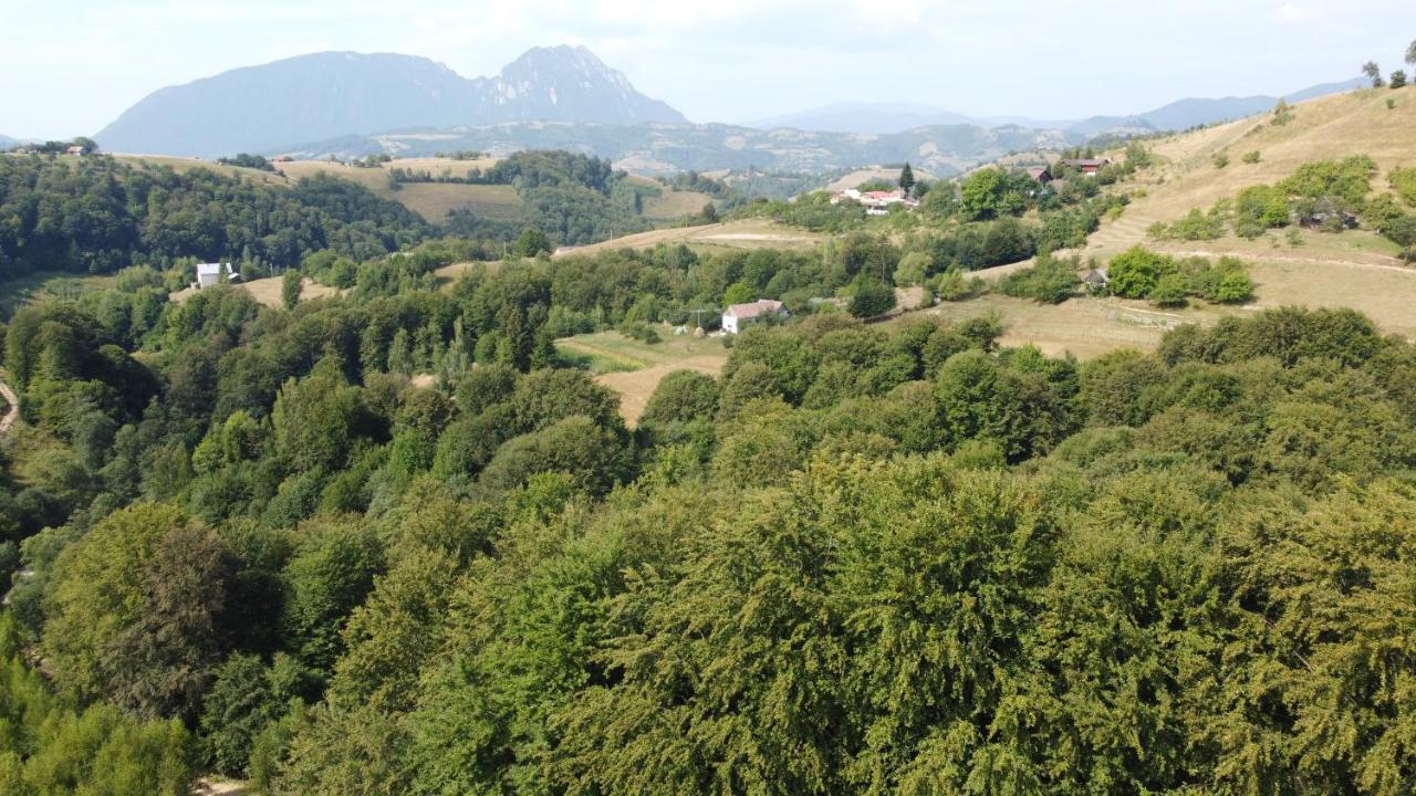 Conacul Elenei Villa Poiana Mărului Exterior foto