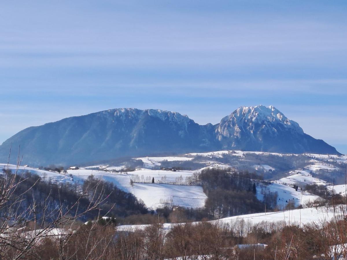 Conacul Elenei Villa Poiana Mărului Exterior foto