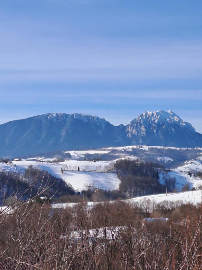 Conacul Elenei Villa Poiana Mărului Exterior foto